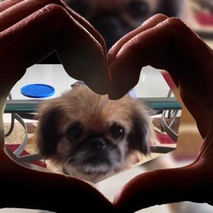 Meet your Posher, Becky